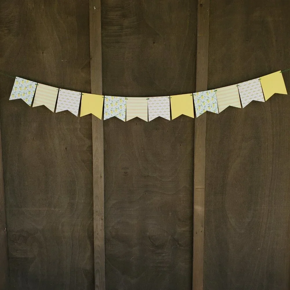 Pineapple Party Decorations | Birthday Decorations, Rainbow Baby Shower